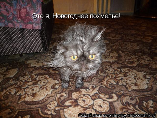 Это я, Новогоднее похмелье!... Котоматрица: Это я, Новогоднее похмелье!