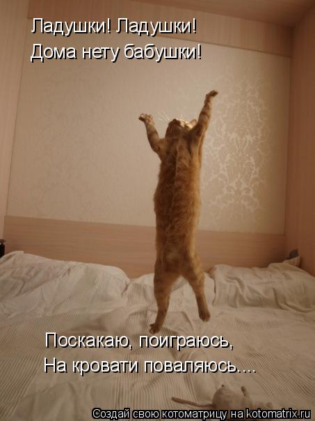 Ладушки! Ладушки! Дома нету бабушки! Поскакаю, поиграюсь, На кровати поваляюсь....... Котоматрица: Ладушки! Ладушки! Дома нету бабушки! Поскакаю, поиграюсь, На кровати поваляюсь....