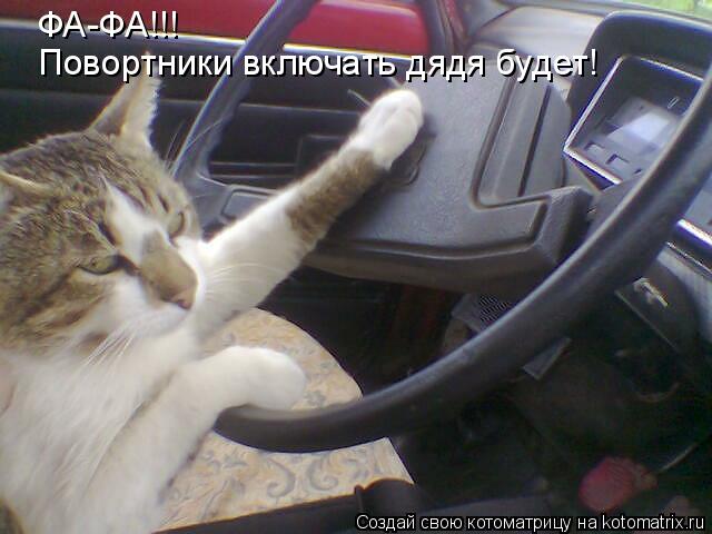 Котоматрица: ФА-ФА!!! Повортники включать дядя будет!