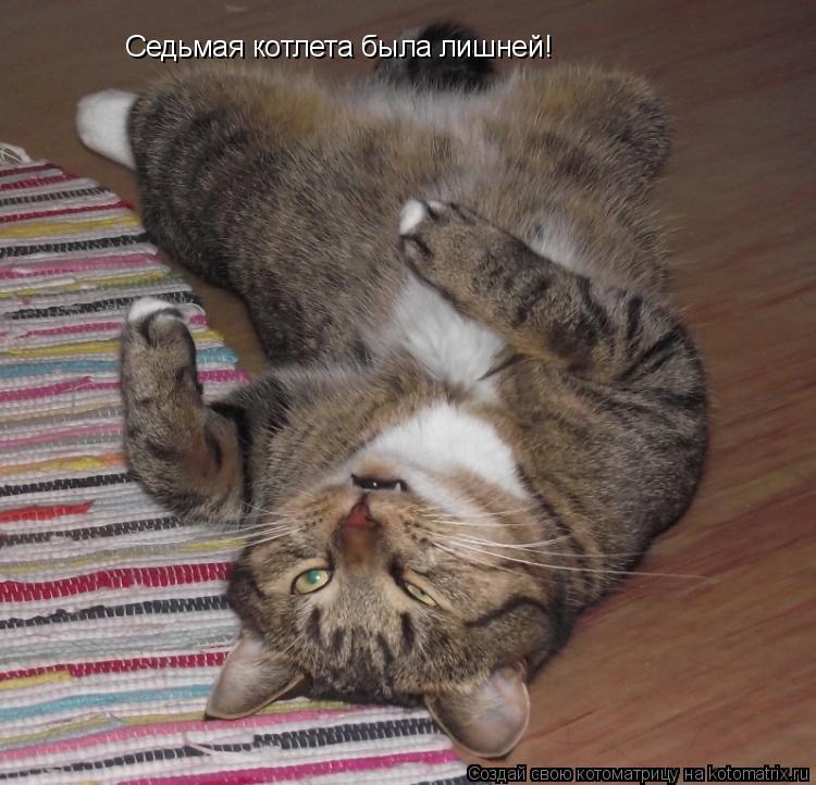 Седьмая котлета была лишней!... Котоматрица: Седьмая котлета была лишней!