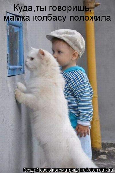 Котоматрица: Куда,ты говоришь, мамка колбасу положила