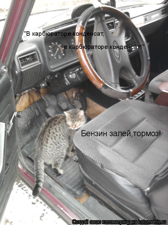 "В карбюраторе конденсат, в карбюраторе конденсат!" Бензин залей,тормоз!... Котоматрица: "В карбюраторе конденсат, в карбюраторе конденсат!" Бензин залей,тормоз!