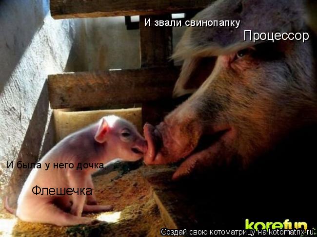 И звали свинопапку Процессор И была у него дочка, Флешечка... Котоматрица: И звали свинопапку Процессор И была у него дочка, Флешечка