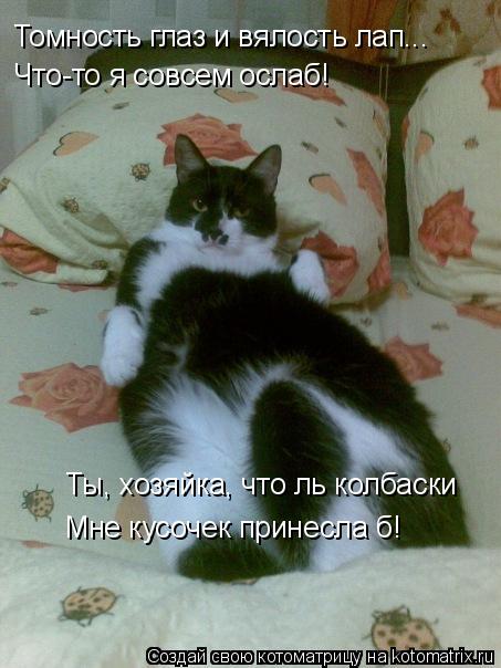 Томность глаз и вялость лап... Что-то я совсем ослаб! Ты, хозяйка, что ль колбаски Мне кусочек принес... Котоматрица: Томность глаз и вялость лап... Что-то я совсем ослаб! Ты, хозяйка, что ль колбаски Мне кусочек принесла б!