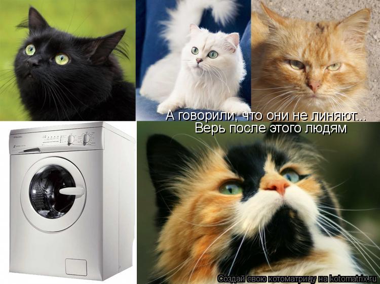 А говорили, что они не линяют... Верь после этого людям Верь после этого людям... Котоматрица: А говорили, что они не линяют... Верь после этого людям Верь после этого людям