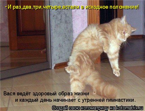 И раз,два,три,четыре,встали в исходное положение! Вася ведёт здоровый образ жизни и каждый день начи... Котоматрица: И раз,два,три,четыре,встали в исходное положение! Вася ведёт здоровый образ жизни и каждый день начинает с утренней гимнастики. -