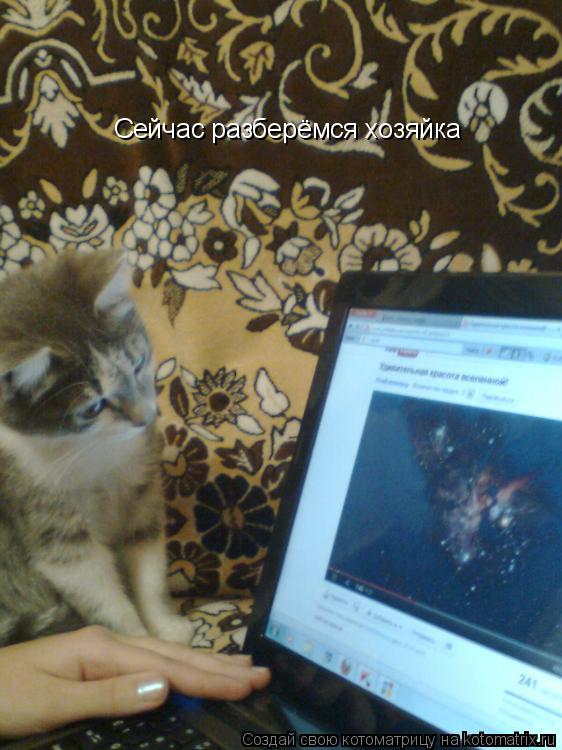 Сейчас разберёмся хозяйка... Котоматрица: Сейчас разберёмся хозяйка