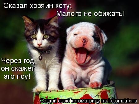 Сказал хозяин коту: Малого не обижать! Через год он скажет это псу!... Котоматрица: Сказал хозяин коту: Малого не обижать! Через год он скажет это псу!
