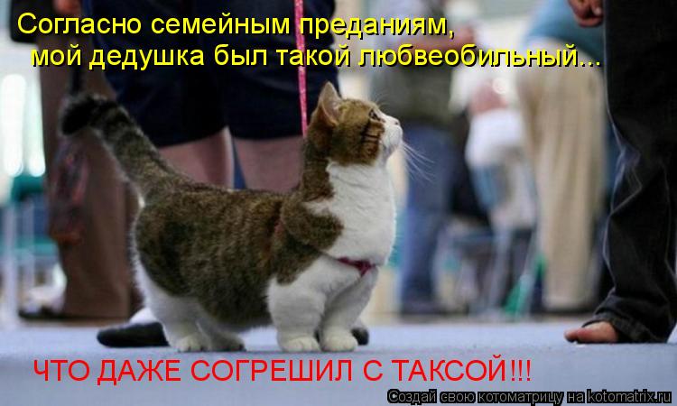 Согласно семейным преданиям, мой дедушка был такой любвеобильный... ЧТО ДАЖЕ СОГРЕШИЛ С ТАКСОЙ!!!... Котоматрица: Согласно семейным преданиям, мой дедушка был такой любвеобильный... ЧТО ДАЖЕ СОГРЕШИЛ С ТАКСОЙ!!!
