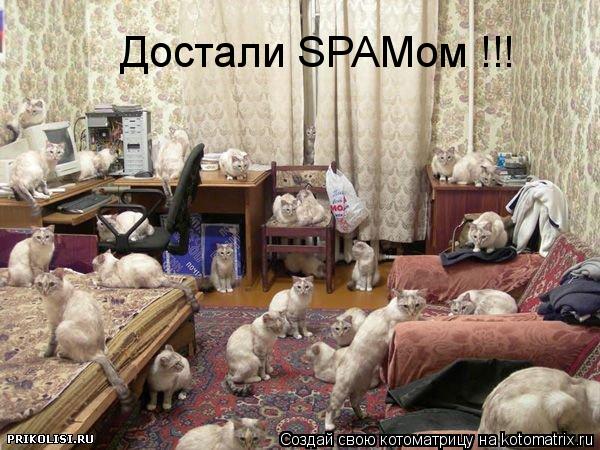 Достали SPAMом !!!... Котоматрица: Достали SPAMом !!!