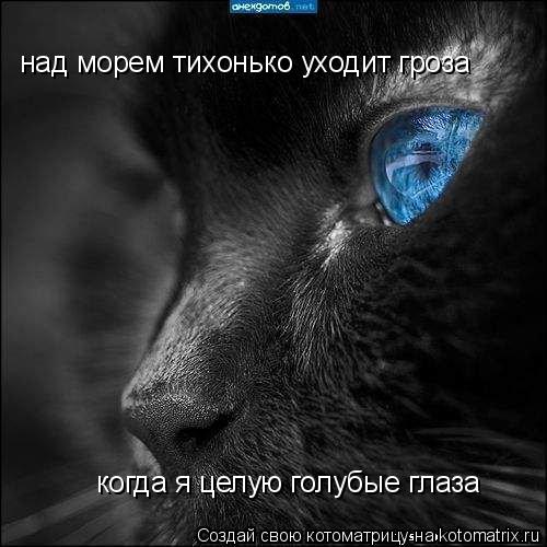 над морем тихонько уходит гроза когда я целую голубые глаза... Котоматрица: над морем тихонько уходит гроза когда я целую голубые глаза