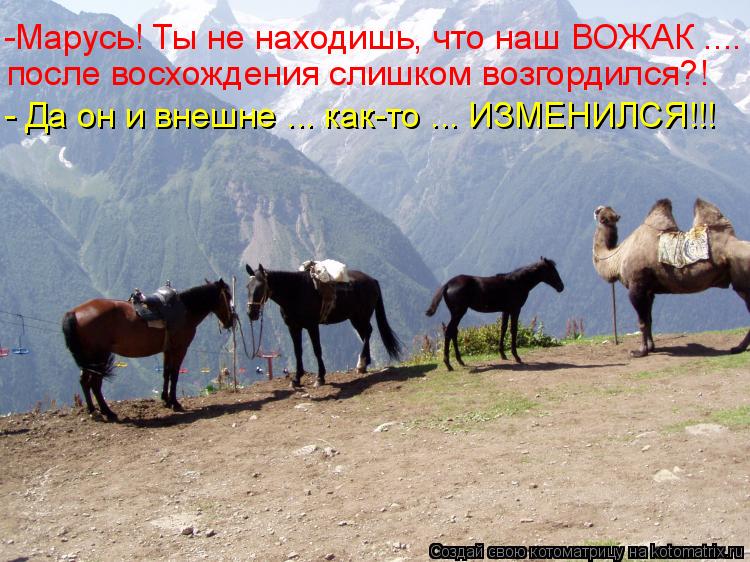 -Марусь! Ты не находишь, что наш ВОЖАК .... - Да он и внешне ... как-то ... ИЗМЕНИЛСЯ!!! после восхож... Котоматрица: -Марусь! Ты не находишь, что наш ВОЖАК .... - Да он и внешне ... как-то ... ИЗМЕНИЛСЯ!!! после восхождения слишком возгордился?!