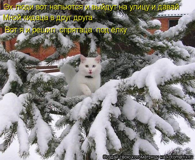 Эх люди вот напьются и выйдут на улицу и давай Мной кидаца в друг друга Вот я и решил спрятаца п... Котоматрица: Эх люди вот напьются и выйдут на улицу и давай Мной кидаца в друг друга Вот я и решил спрятаца под ёлку