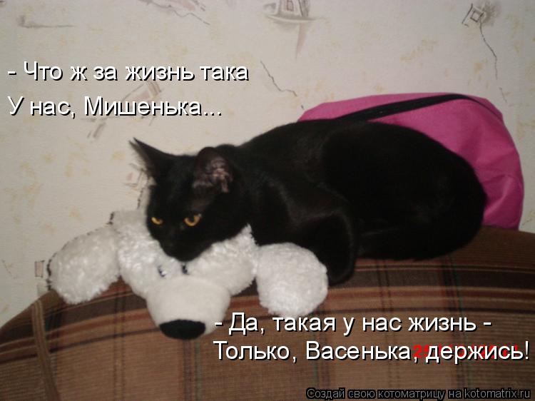 - Что ж за жизнь така У нас, Мишенька... - Да, такая у нас жизнь - Только, Васенька, держись!... Котоматрица: - Что ж за жизнь така У нас, Мишенька... - Да, такая у нас жизнь - Только, Васенька, держись!