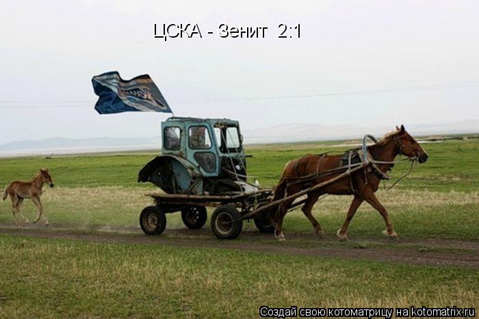 ЦСКА - Зенит 2:1... Котоматрица: ЦСКА - Зенит 2:1