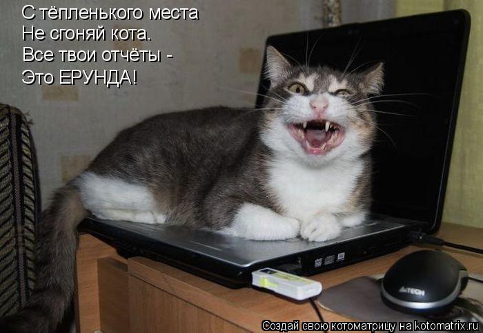 С тёпленького места Не сгоняй кота. Все твои отчёты - Это ЕРУНДА!... Котоматрица: С тёпленького места Не сгоняй кота. Все твои отчёты - Это ЕРУНДА!