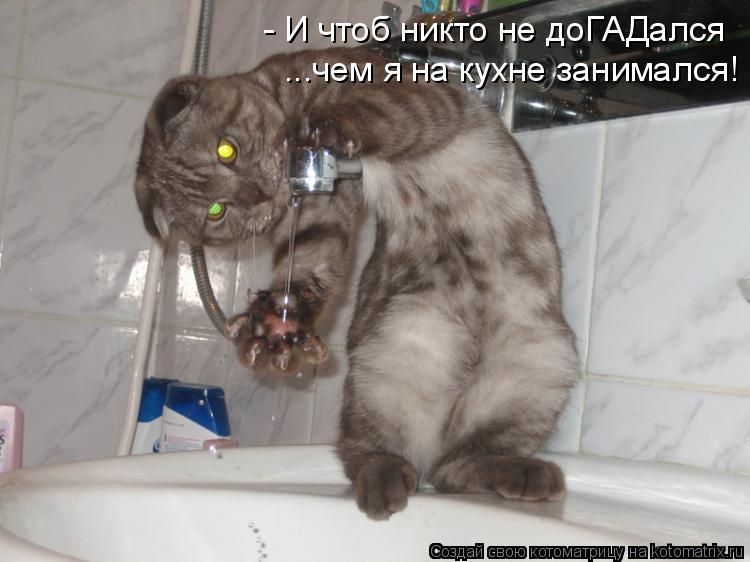 - И чтоб никто не доГАДался ...чем я на кухне занимался!... Котоматрица: - И чтоб никто не доГАДался ...чем я на кухне занимался!