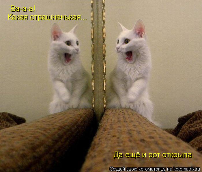 Ва-а-а! Какая страшненькая... Да ещё и рот открыла.... Котоматрица: Ва-а-а! Какая страшненькая... Да ещё и рот открыла.