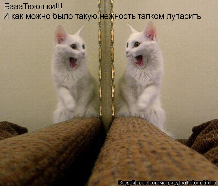 БаааТююшки!!! И как можно было такую нежность тапком лупасить... Котоматрица: БаааТююшки!!! И как можно было такую нежность тапком лупасить