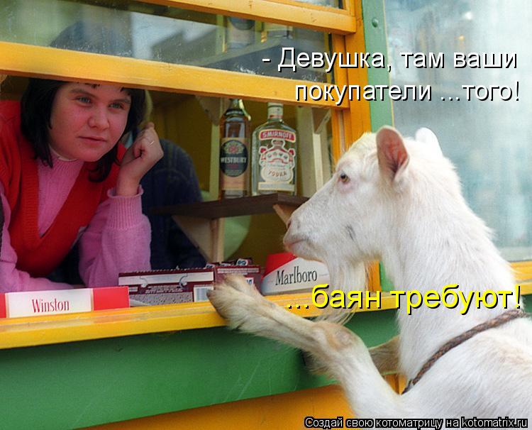 - Девушка, там ваши покупатели ...того! ...баян требуют!... Котоматрица: - Девушка, там ваши покупатели ...того! ...баян требуют!