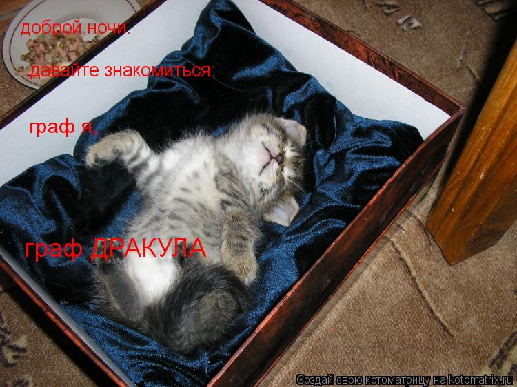 доброй ночи. давайте знакомиться: граф я, граф ДРАКУЛА... Котоматрица: доброй ночи. давайте знакомиться: граф я, граф ДРАКУЛА