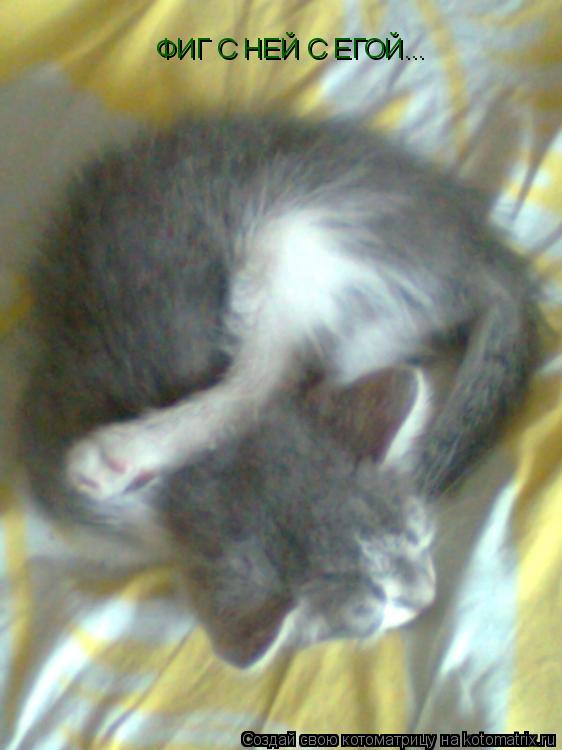 ФИГ С НЕЙ С ЕГОЙ...... Котоматрица: ФИГ С НЕЙ С ЕГОЙ...