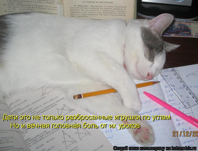 Дети это не только разбросанные игрушки по углам Но и вечная головная боль от их уроков... Котоматрица: Дети это не только разбросанные игрушки по углам Но и вечная головная боль от их уроков