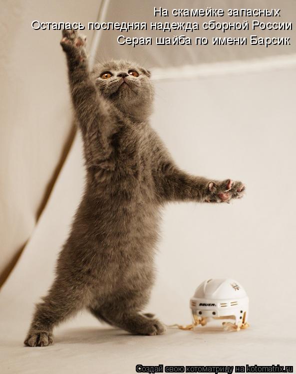 На скамейке запасных Осталась последняя надежда сборной России Серая шайба по имени Барсик... Котоматрица: На скамейке запасных Осталась последняя надежда сборной России Серая шайба по имени Барсик