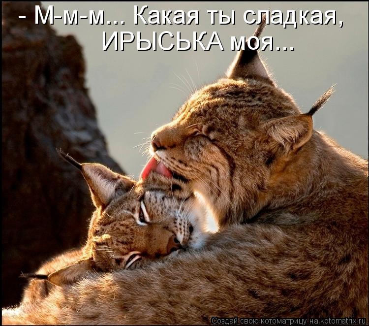 - М-м-м... Какая ты сладкая, ИРЫСЬКА моя...... Котоматрица: - М-м-м... Какая ты сладкая, ИРЫСЬКА моя...
