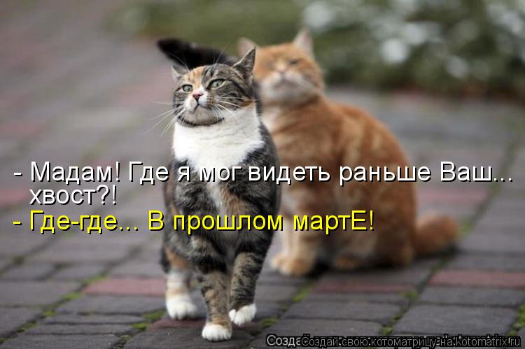 Котоматрица: - Мадам! Где я мог видеть раньше Ваш... хвост?! - Где-где... В прошлом мартЕ!