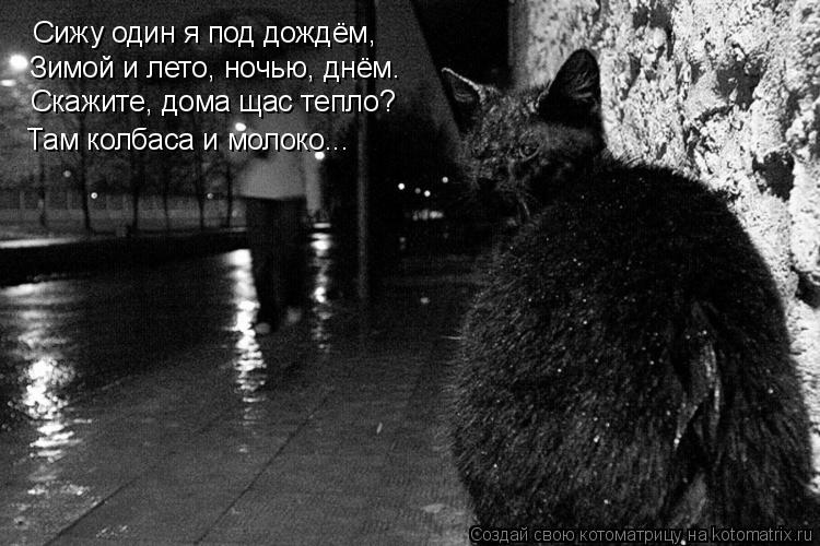 Сижу один я под дождём, Зимой и лето, ночью, днём. Скажите, дома щас тепло? Там колбаса и молоко...... Котоматрица: Сижу один я под дождём, Зимой и лето, ночью, днём. Скажите, дома щас тепло? Там колбаса и молоко...
