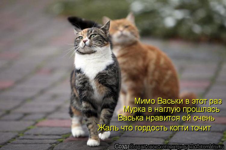 Жаль что гордость когти точит Мимо Васьки в этот раз Мурка в наглую прошлась Васька нравится ей очень... Котоматрица: Жаль что гордость когти точит Мимо Васьки в этот раз Мурка в наглую прошлась Васька нравится ей очень