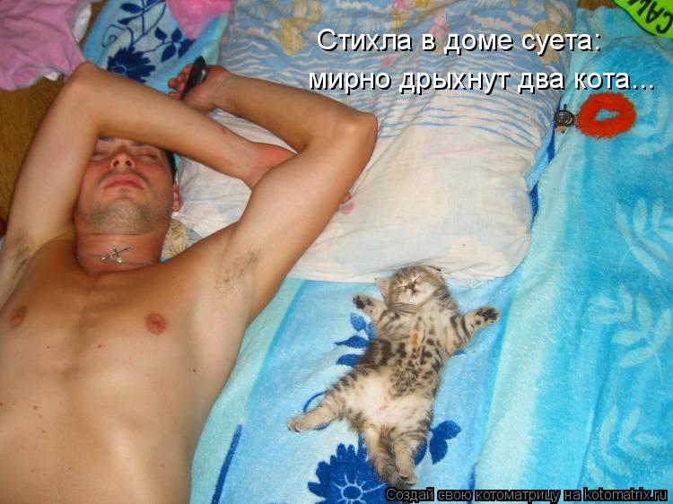 Стихла в доме суета: мирно дрыхнут два кота...... Котоматрица: Стихла в доме суета: мирно дрыхнут два кота...