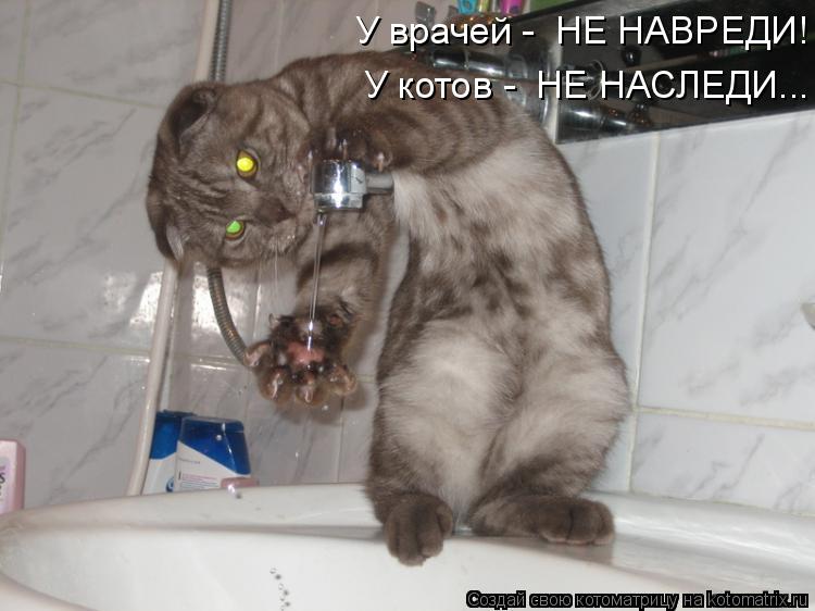 У врачей - НЕ НАВРЕДИ! У котов - НЕ НАСЛЕДИ...... Котоматрица: У врачей - НЕ НАВРЕДИ! У котов - НЕ НАСЛЕДИ...
