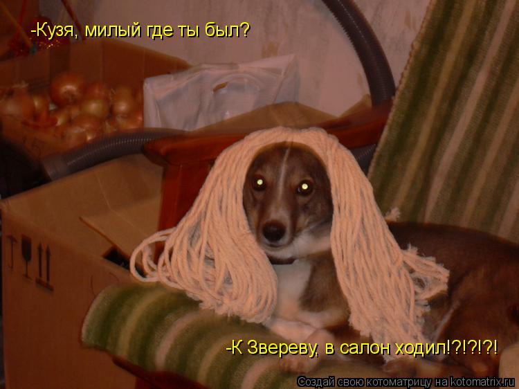 -Кузя, милый где ты был? -К Звереву, в салон ходил!?!?!?!... Котоматрица: -Кузя, милый где ты был? -К Звереву, в салон ходил!?!?!?!