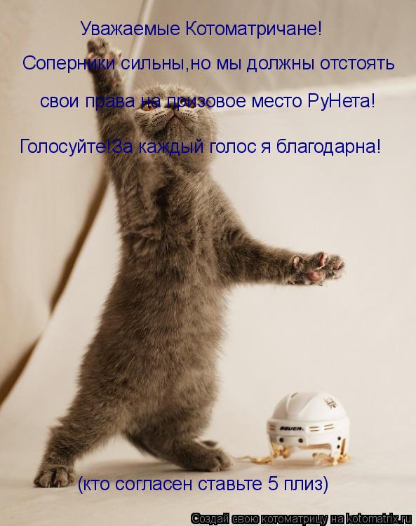Уважаемые Котоматричане! Соперники сильны,но мы должны отстоять свои права на призовое место РуНета! ... Котоматрица: Уважаемые Котоматричане! Соперники сильны,но мы должны отстоять свои права на призовое место РуНета! Голосуйте!За каждый голос я благодарн