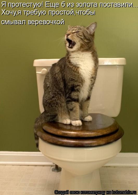 Я протестую! Еще б из золота поставили... Хочу,я требую простой,чтобы смывал веревочкой... Котоматрица: Я протестую! Еще б из золота поставили... Хочу,я требую простой,чтобы смывал веревочкой
