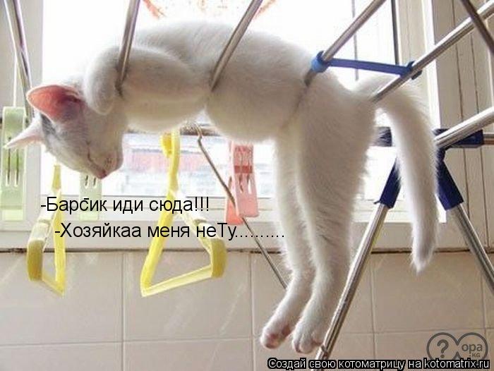 - -Барсик иди сбда -Барсик иди сюда!!! -Хозяйкаа меня неТу............. Котоматрица: - -Барсик иди сбда -Барсик иди сюда!!! -Хозяйкаа меня неТу..........