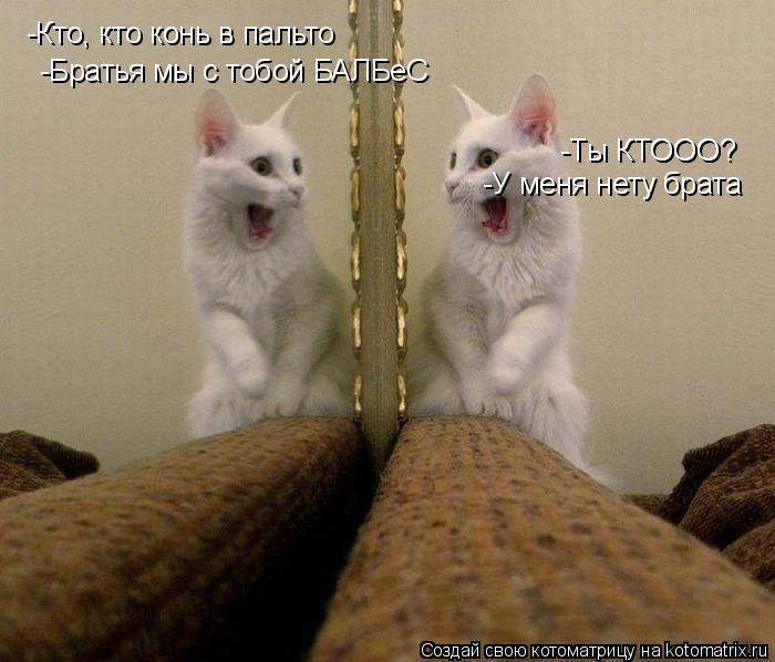 -Ты КТООО? -Ты КТООО? -Кто, кто конь в пальто -Братья мы с тобой БАЛБеС -У меня нету брата... Котоматрица: -Ты КТООО? -Ты КТООО? -Кто, кто конь в пальто -Братья мы с тобой БАЛБеС -У меня нету брата