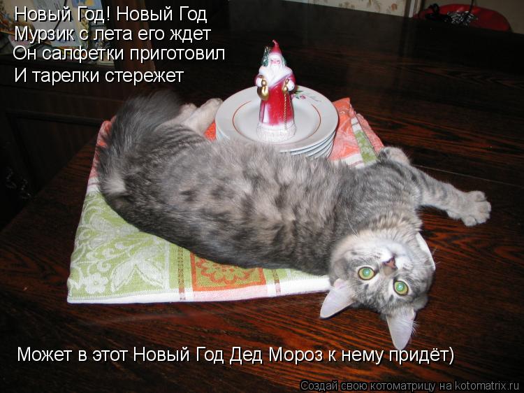 Новый Год! Новый Год Мурзик с лета его ждет Он салфетки приготовил И тарелки стережет Может в этот Н... Котоматрица: Новый Год! Новый Год Мурзик с лета его ждет Он салфетки приготовил И тарелки стережет Может в этот Новый Год Дед Мороз к нему придёт)