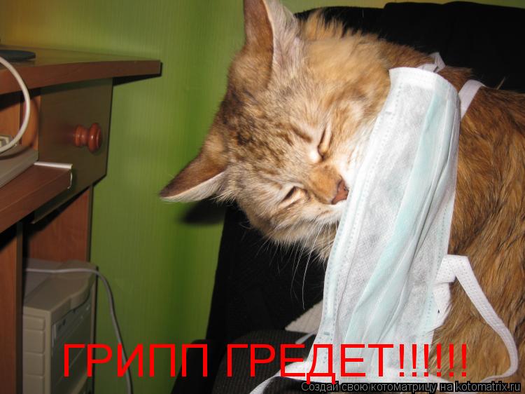 ГРИПП ГРЕДЕТ!!!!!!... Котоматрица: ГРИПП ГРЕДЕТ!!!!!!