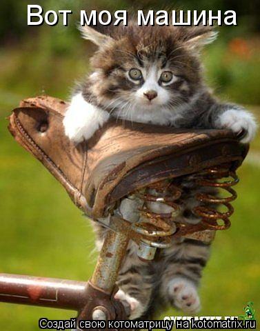 Вот моя машина... Котоматрица: Вот моя машина
