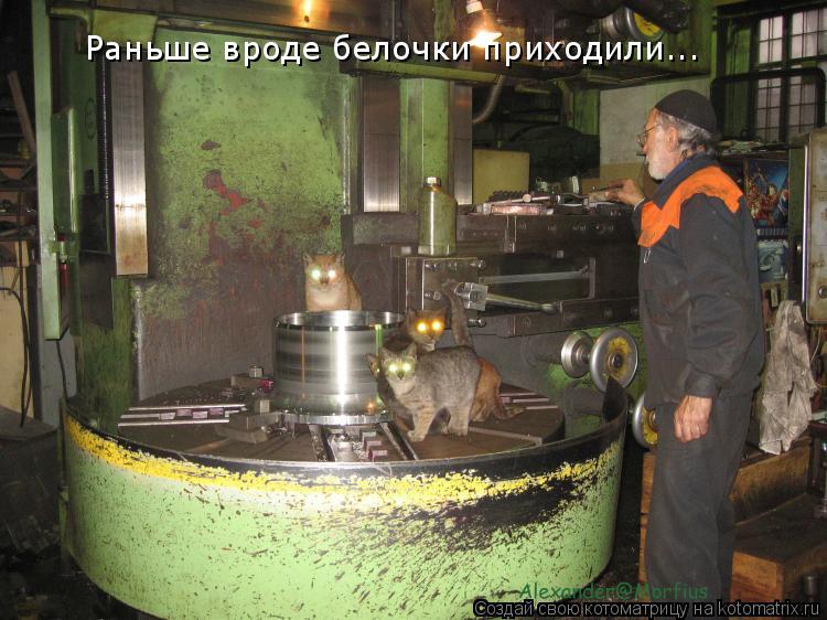 Раньше вроде белочки приходили...... Котоматрица: Раньше вроде белочки приходили...