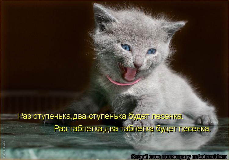 Раз ступенька,два ступенька будет лесенка. Раз таблетка,два таблетка будет песенка.... Котоматрица: Раз ступенька,два ступенька будет лесенка. Раз таблетка,два таблетка будет песенка.