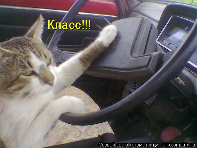 Класс!!!... Котоматрица: Класс!!!