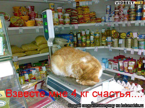 Взвесте мне 4 кг счастья....... Котоматрица: Взвесте мне 4 кг счастья....