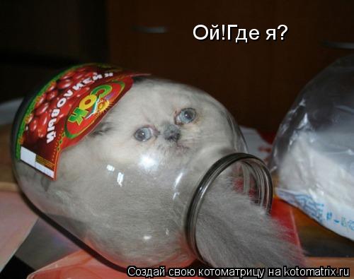 Ой!Где я?... Котоматрица: Ой!Где я?