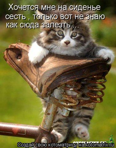 Хочется мне на сиденье сесть , только вот не знаю как сюда залезть ...... Котоматрица: Хочется мне на сиденье сесть , только вот не знаю как сюда залезть ...