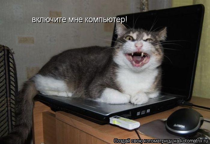 включите мне компьютер!... Котоматрица: включите мне компьютер!