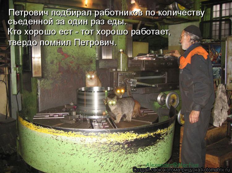 Петрович подбирал работников по количеству съеденной за один раз еды. Кто хорошо ест - тот хорошо ра... Котоматрица: Петрович подбирал работников по количеству съеденной за один раз еды. Кто хорошо ест - тот хорошо работает, твердо помнил Петрович.